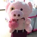 victor dang - @victordang52011 - Twitter