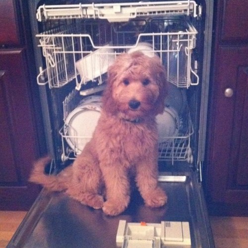 Markmaddox19's profile picture. 