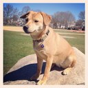 Ross Crowley - @rosscrowley8 - Twitter