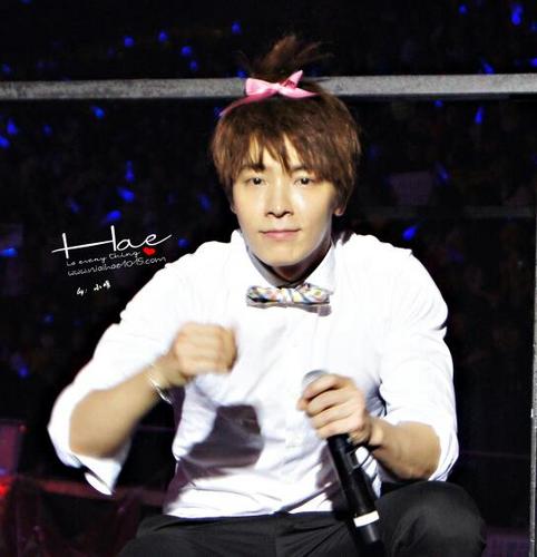 @donghae861015 is my bias! im stalker of SJ!