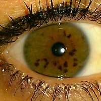 AngelAvdbPlace's profile picture. 