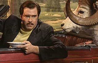 jstonedotorg's profile picture. 