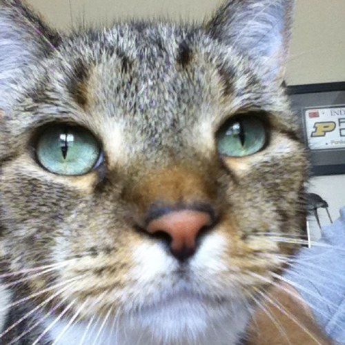 jlapp16's profile picture. 