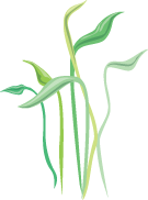 JanetWickell1's profile picture. Licensed skin care and massage therapist (NC LMBT #9097)