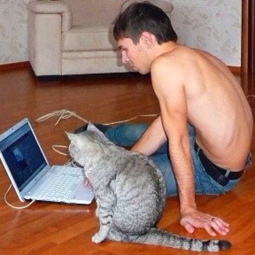 guide_my_life's profile picture. like no other