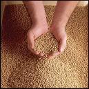 PJacksonVICAM's profile picture. Supporting Global Food & Agriculture Safety & Sustainability 
{Views expressed are my own}