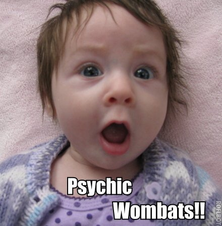 Cattiekinsknits's profile picture. wife, mother, crazy knitter, spinner, archaeologist
