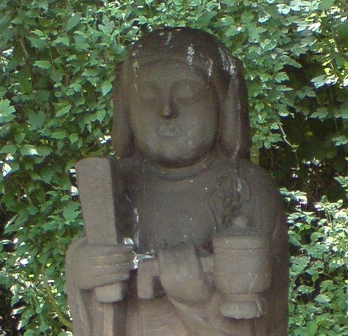 mixn_mojo's profile picture. 今日本にいない👃