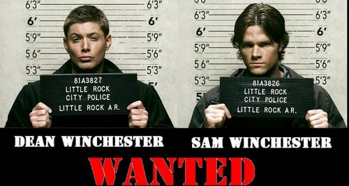 i have to brothers #DeanWinchester #SamWinchester , Working the family business !! I get my attitude from Dean and my bitch-face from Sam..