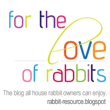 Rabbit-Resource