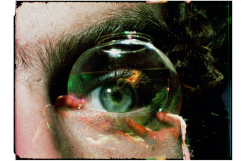 ScreenandShout's profile picture. Observe & Amplify