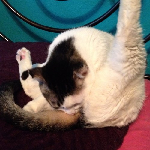 The3rdYoung's profile picture. I thought this was Instagram.