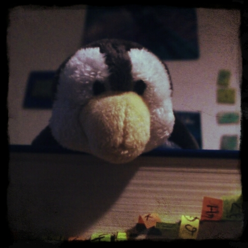 PiaPingu's profile picture. Ein Pinguin namens π.