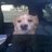 mybuddyboy's profile image