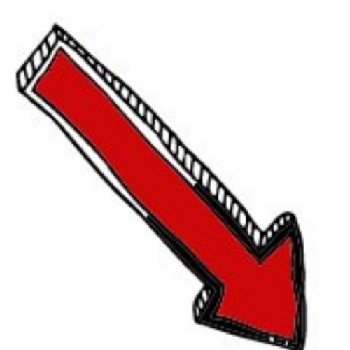 RedBasementBand's profile picture. 