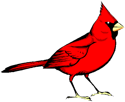birdwife2's profile picture. 6th grade teacher looking to build my PLN.