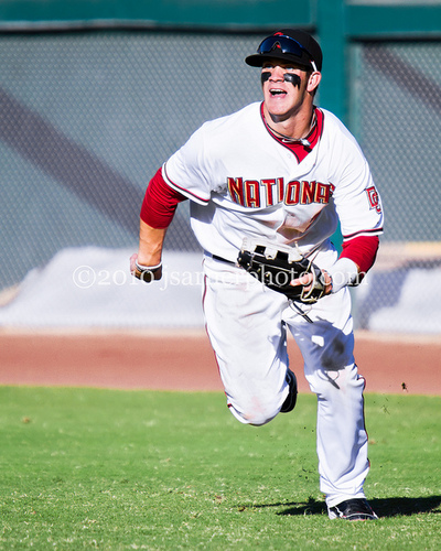 Baseball is what I live for.