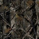 carl compton - @cd_carl - Twitter