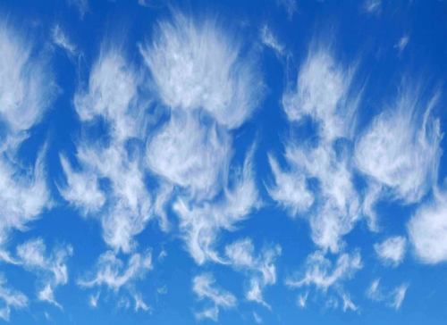 WalthamRiverfes's profile picture. 