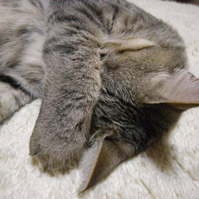 researcher / network engineer / gadget hacker / (openbsd developer)