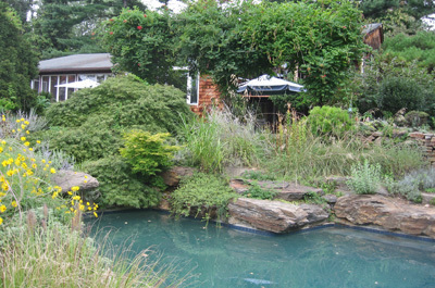 gardenmasters's profile picture. 