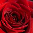 Alison Jayne Wilson - @alibabes007 - Twitter