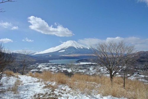 ichigo_banana21's profile picture. 