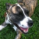 Erin Cattanach - @ErinCatt - Twitter