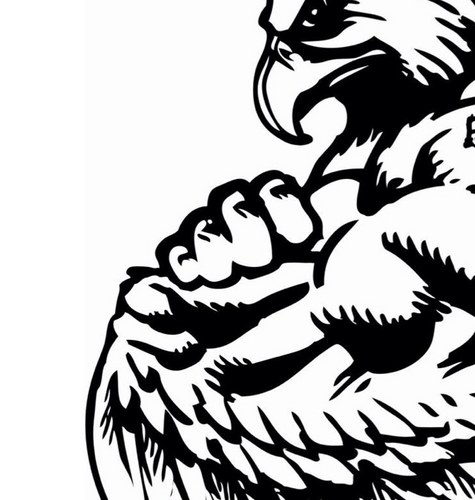 StockHawkz's profile picture. Whether bull or bear, we are in it to win it...