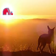Bin hâte au retour des Nordiques dans quelques semaines!