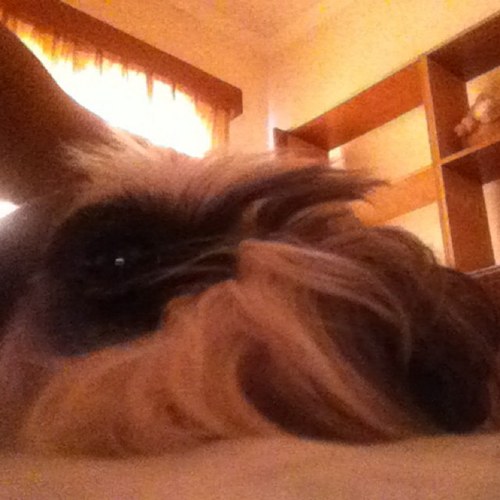 cheokyaw's profile picture. THE NOBODY