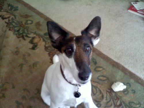 natvan11's profile picture. Enjoy history, birds, dogs, nature, great books and good conversation