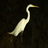 a_ceci24's profile image