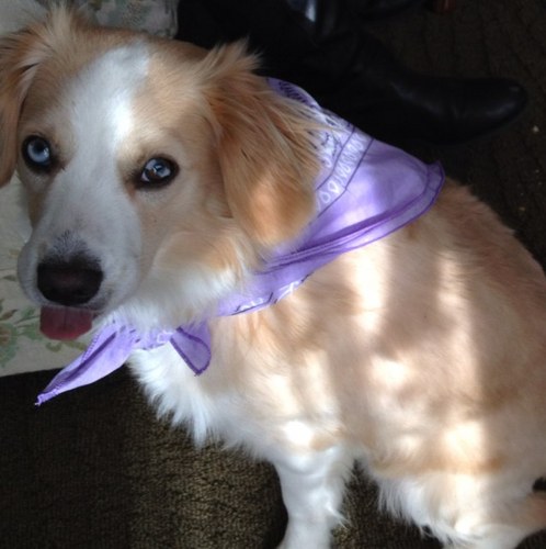 frank_pallas's profile picture. 