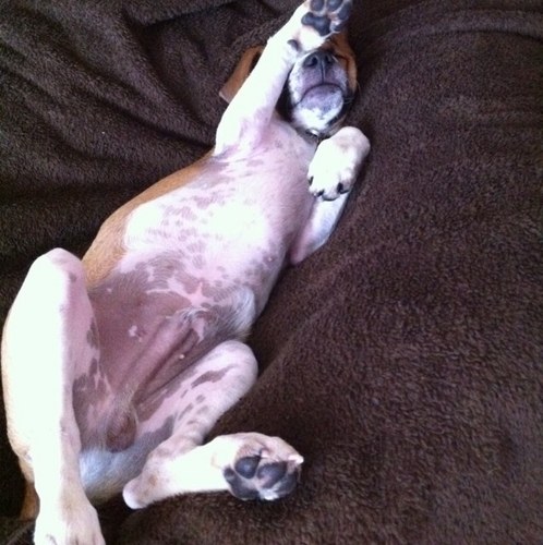 Golicous's profile picture. any hole a goal