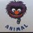 Lucas31021's profile image