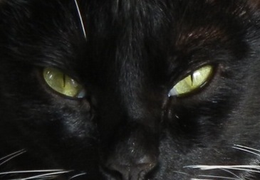 bedunn43's profile picture. 