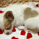 Katie Ramey - @kmramey - Twitter