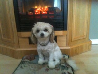 denafahl's profile picture. 