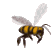 bzzyn's profile image
