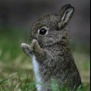 Kaitlyn Redd - @_bunneh - Twitter