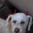 MirandaAnnie's profile image