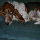 Sarah Weems - @Itamiyumi - Twitter