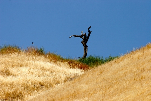 shaiweiss's profile picture. CEO/Virgin Atlantic