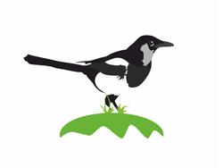 NaHvosteRu's profile picture. Доска бесплатных объявлений NaHvoste.Ru