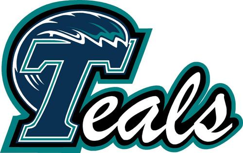 Pagina ufficiale TEALS: squadra di Cheerleaders, apparteniamo alla Polisportiva Terraglio e alla squadra di Football Americano Islanders Venezia.