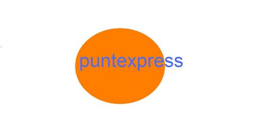 puntexpress's profile picture. Ahora nos Fusionamos.TRANSPORTE TORRALBA y ASSTEC ,Servicios logísticos y seguridad BONBEROS