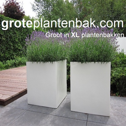 groteplantenbak's profile picture. Groot in XL plantenbakken. Wij leveren direct vanaf werkplaats aan consument. Hoogwaardige afwerking en laagste prijs garantie!