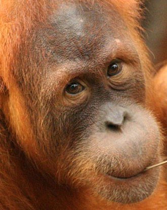 Sensitive_Man's profile picture. Daydreamer, open minded, likes to flirt