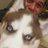73MrEraser's profile image